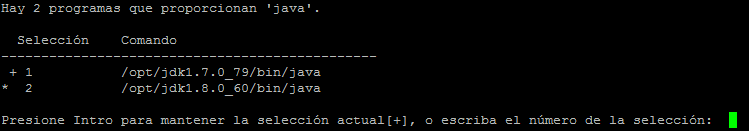java-alternatives-varias-instalaciones java-alternatives-varias-instalaciones